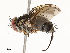  ( - CBG-A72934-G08)  @11 [ ] CreativeCommons - Attribution Share - Alike (2025) CBG Photography Group Centre for Biodiversity Genomics