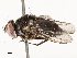  ( - CBG-B12442-B06)  @11 [ ] CreativeCommons - Attribution Share - Alike (2025) CBG Photography Group Centre for Biodiversity Genomics