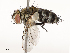  ( - CBG-B12442-B09)  @11 [ ] CreativeCommons - Attribution Share - Alike (2025) CBG Photography Group Centre for Biodiversity Genomics