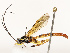  ( - CBG-B12661-E10)  @11 [ ] CreativeCommons - Attribution Share - Alike (2025) CBG Photography Group Centre for Biodiversity Genomics