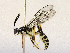  ( - CBG-B12675-D10)  @11 [ ] CreativeCommons - Attribution Share - Alike (2025) CBG Photography Group Centre for Biodiversity Genomics