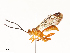  ( - CBG-B13781-C06)  @11 [ ] CreativeCommons - Attribution Share - Alike (2025) CBG Photography Group Centre for Biodiversity Genomics