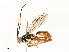  ( - CBG-B13784-D07)  @11 [ ] CreativeCommons - Attribution Share - Alike (2025) CBG Photography Group Centre for Biodiversity Genomics