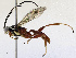  ( - CBG-B13893-C01)  @11 [ ] CreativeCommons - Attribution Share - Alike (2025) CBG Photography Group Centre for Biodiversity Genomics