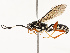  ( - CBG-B12665-G01)  @11 [ ] CreativeCommons - Attribution Share - Alike (2025) CBG Photography Group Centre for Biodiversity Genomics
