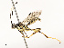  ( - CBG-B15170-E07)  @11 [ ] CreativeCommons - Attribution Share - Alike (2025) CBG Photography Group Centre for Biodiversity Genomics