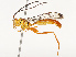  ( - CBG-B11794-C01)  @11 [ ] CreativeCommons - Attribution Share - Alike (2025) CBG Photography Group Centre for Biodiversity Genomics