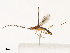  ( - CBG-B12238-E10)  @11 [ ] CreativeCommons - Attribution Share - Alike (2025) CBG Photography Group Centre for Biodiversity Genomics