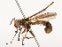  ( - CBG-B13472-D01)  @11 [ ] CreativeCommons - Attribution Share - Alike (2025) CBG Photography Group Centre for Biodiversity Genomics