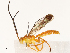  ( - CBG-B13473-E10)  @11 [ ] CreativeCommons - Attribution Share - Alike (2025) CBG Photography Group Centre for Biodiversity Genomics