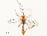  ( - CBG-B13563-B11)  @11 [ ] CreativeCommons - Attribution Share - Alike (2025) CBG Photography Group Centre for Biodiversity Genomics