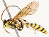  ( - CBG-B13788-E05)  @11 [ ] CreativeCommons - Attribution Share - Alike (2025) CBG Photography Group Centre for Biodiversity Genomics