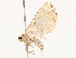  ( - CBG-B13789-G07)  @11 [ ] CreativeCommons - Attribution Share - Alike (2025) CBG Photography Group Centre for Biodiversity Genomics