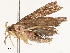 ( - CBG-B13790-A08)  @11 [ ] CreativeCommons - Attribution Share - Alike (2025) CBG Photography Group Centre for Biodiversity Genomics