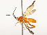  ( - CBG-B13801-C07)  @11 [ ] CreativeCommons - Attribution Share - Alike (2025) CBG Photography Group Centre for Biodiversity Genomics