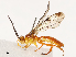  ( - CBG-B13801-F01)  @11 [ ] CreativeCommons - Attribution Share - Alike (2025) CBG Photography Group Centre for Biodiversity Genomics