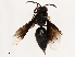  ( - CBG-B13802-A10)  @11 [ ] CreativeCommons - Attribution Share - Alike (2025) CBG Photography Group Centre for Biodiversity Genomics
