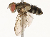  ( - CBG-B13804-B09)  @11 [ ] CreativeCommons - Attribution Share - Alike (2025) CBG Photography Group Centre for Biodiversity Genomics