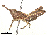  ( - CBG-B13805-D12)  @11 [ ] CreativeCommons - Attribution Share - Alike (2025) CBG Photography Group Centre for Biodiversity Genomics