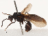  ( - CBG-B14649-C03)  @11 [ ] CreativeCommons - Attribution Share - Alike (2025) CBG Photography Group Centre for Biodiversity Genomics