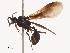  ( - CBG-B14789-G02)  @11 [ ] CreativeCommons - Attribution Share - Alike (2025) CBG Photography Group Centre for Biodiversity Genomics
