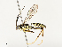  ( - CBG-B18755-A04)  @11 [ ] CreativeCommons - Attribution Share - Alike (2025) CBG Photography Group Centre for Biodiversity Genomics