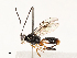  ( - CBG-B17179-F12)  @11 [ ] CreativeCommons - Attribution Share - Alike (2025) CBG Photography Group Centre for Biodiversity Genomics