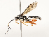  ( - CBG-B17304-G07)  @11 [ ] CreativeCommons - Attribution Share - Alike (2025) CBG Photography Group Centre for Biodiversity Genomics