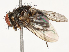  ( - CBG-B12981-C11)  @11 [ ] CreativeCommons - Attribution Share - Alike (2025) CBG Photography Group Centre for Biodiversity Genomics