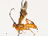  ( - CBG-B12982-A03)  @11 [ ] CreativeCommons - Attribution Share - Alike (2025) CBG Photography Group Centre for Biodiversity Genomics