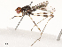  ( - CBG-B13805-G06)  @11 [ ] CreativeCommons - Attribution Share - Alike (2025) CBG Photography Group Centre for Biodiversity Genomics