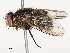  ( - CBG-B14791-A04)  @11 [ ] CreativeCommons - Attribution Share - Alike (2025) CBG Photography Group Centre for Biodiversity Genomics