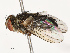  ( - CBG-B14791-A05)  @11 [ ] CreativeCommons - Attribution Share - Alike (2025) CBG Photography Group Centre for Biodiversity Genomics