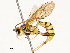  ( - CBG-B14791-G07)  @11 [ ] CreativeCommons - Attribution Share - Alike (2025) CBG Photography Group Centre for Biodiversity Genomics