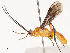  ( - CBG-B14792-B12)  @11 [ ] CreativeCommons - Attribution Share - Alike (2025) CBG Photography Group Centre for Biodiversity Genomics