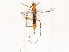  ( - CBG-B14792-C01)  @11 [ ] CreativeCommons - Attribution Share - Alike (2025) CBG Photography Group Centre for Biodiversity Genomics