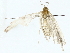  ( - BIOUG77732-D05)  @11 [ ] CreativeCommons - Attribution (2022) CBG Photography Group Centre for Biodiversity Genomics