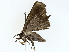  ( - BIOUG80724-A04)  @11 [ ] CreativeCommons - Attribution (2022) CBG Photography Group Centre for Biodiversity Genomics