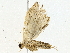  ( - BIOUG80724-B01)  @11 [ ] CreativeCommons - Attribution (2022) CBG Photography Group Centre for Biodiversity Genomics