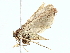  ( - BIOUG85279-B05)  @13 [ ] CreativeCommons - Attribution (2022) CBG Photography Group Centre for Biodiversity Genomics