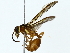  ( - BIOUG85280-A09)  @11 [ ] CreativeCommons - Attribution (2022) CBG Photography Group Centre for Biodiversity Genomics