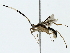  ( - BIOUG85280-A12)  @11 [ ] CreativeCommons - Attribution (2022) CBG Photography Group Centre for Biodiversity Genomics