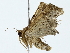  ( - BIOUG85280-E10)  @11 [ ] CreativeCommons - Attribution (2022) CBG Photography Group Centre for Biodiversity Genomics