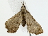  ( - BIOUG85456-B02)  @11 [ ] CreativeCommons - Attribution (2022) CBG Photography Group Centre for Biodiversity Genomics