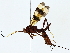  ( - BIOUG85456-D08)  @11 [ ] CreativeCommons - Attribution (2022) CBG Photography Group Centre for Biodiversity Genomics