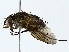  ( - BIOUG85457-C09)  @11 [ ] CreativeCommons - Attribution (2022) CBG Photography Group Centre for Biodiversity Genomics