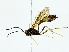  ( - BIOUG85457-D06)  @11 [ ] CreativeCommons - Attribution (2022) CBG Photography Group Centre for Biodiversity Genomics