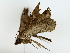  ( - BIOUG85457-F04)  @11 [ ] CreativeCommons - Attribution (2022) CBG Photography Group Centre for Biodiversity Genomics