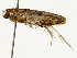  ( - BIOUG85458-A01)  @11 [ ] CreativeCommons - Attribution (2022) CBG Photography Group Centre for Biodiversity Genomics