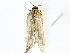  ( - BIOUG85458-D08)  @11 [ ] CreativeCommons - Attribution (2022) CBG Photography Group Centre for Biodiversity Genomics